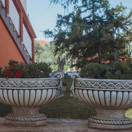 Neli דירה ויר